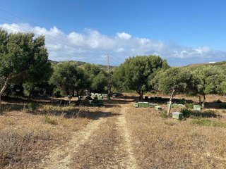 Casa rural en venta en Tarifa