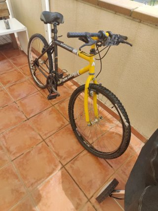 Lote de dos bicicletas