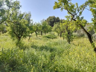 Terreno en venta en Dúrcal
