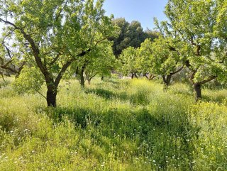 Terreno en venta en Dúrcal