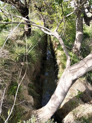Terreno en venta en Dúrcal