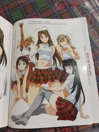 Love Hina Art Book Libro de Ilustraciones de la...