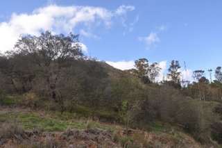 Terreno en venta en Alhaurín el Grande