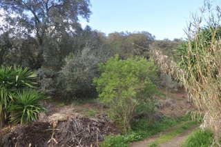 Terreno en venta en Alhaurín el Grande