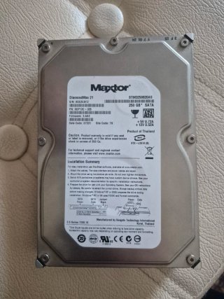 Maxtor DiamondMax 21 250GB SATA Hard Disk