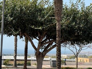 Terreno en venta en Roquetas Centro en Roquetas de Mar