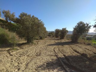 Terreno en venta en Alhendín