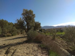 Terreno en venta en Alhendín