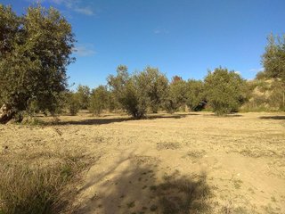 Terreno en venta en Alhendín