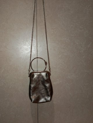 Borsetta Argentata con Manico ad Anello