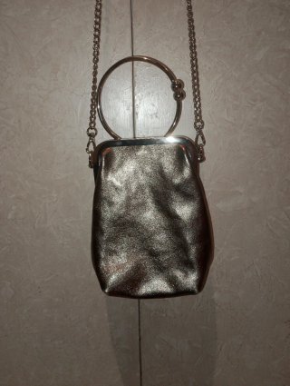 Borsetta Argentata con Manico ad Anello