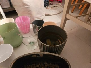 13 Vasi Piante Vetro e Resina Vari