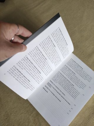 Caballeros teutónicos