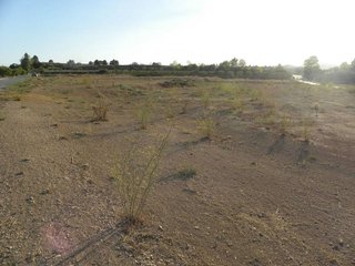 Terreno en venta en Caravaca de la Cruz