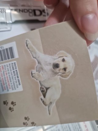 Juegos Nintendo DS: Nintendogs