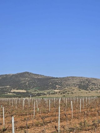 Terreno en venta en Malagón