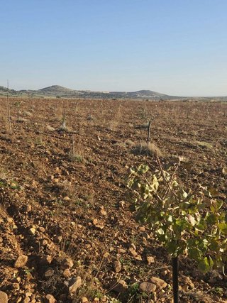 Terreno en venta en Malagón