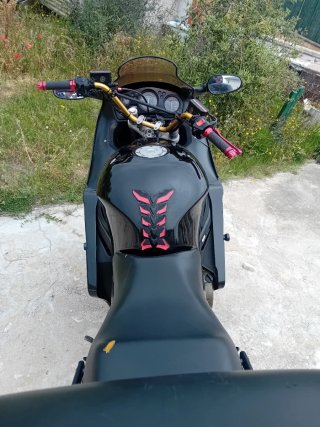 Honda CBR 1100 XX Blackbird
