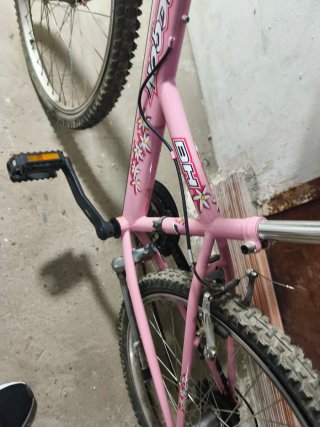 Bicicleta BH Oregon Junior 24