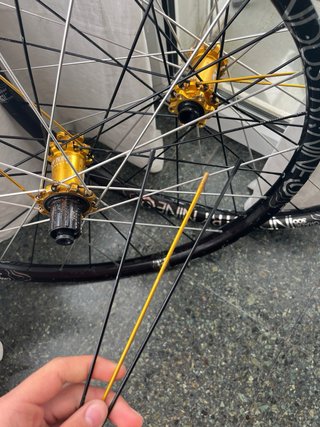 Ruedas Industry Nine Hydra DH