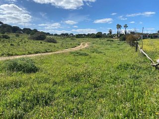Terreno en venta en Aljaraque
