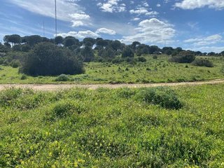 Terreno en venta en Aljaraque