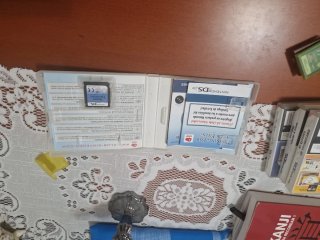 Juego Nintendo DS Training Your Brain