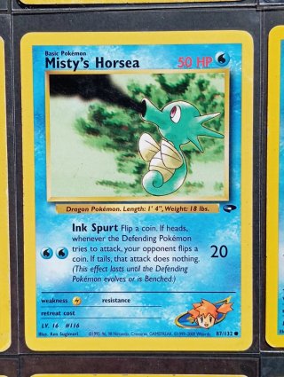 Carte dei Pokémon - Gym Challenge