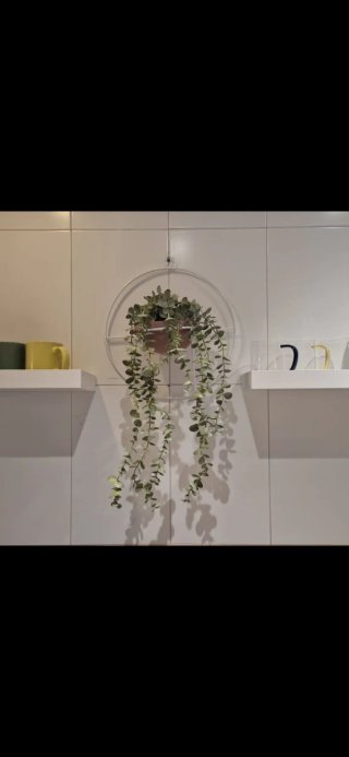 Jarrón Colgante Decorativo