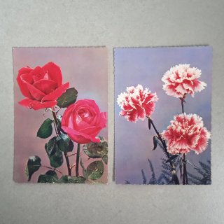 6 Postales Flores Antiguas Años 60