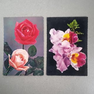 6 Postales Flores Antiguas Años 60