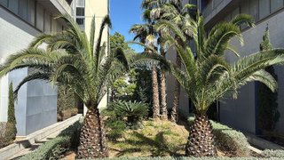 Dúplex en alquiler en Barrio de la Luz en Xirivella
