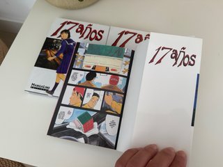 17 años tomos 1 al 3 perfecto estado – Seiji Fujii