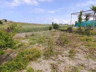 Terreno en venta en Monteolivete-Camino Sevilla en Sanlúcar de Barrameda