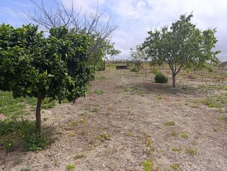 Terreno en venta en Monteolivete-Camino Sevilla en Sanlúcar de Barrameda