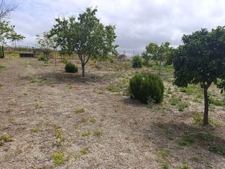 Terreno en venta en Monteolivete-Camino Sevilla en Sanlúcar de Barrameda