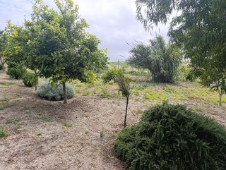 Terreno en venta en Monteolivete-Camino Sevilla en Sanlúcar de Barrameda