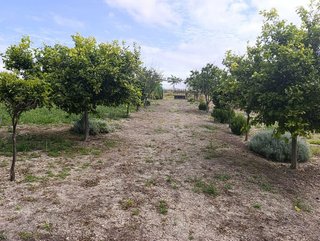 Terreno en venta en Monteolivete-Camino Sevilla en Sanlúcar de Barrameda