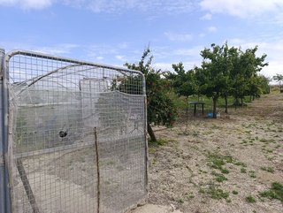 Terreno en venta en Monteolivete-Camino Sevilla en Sanlúcar de Barrameda