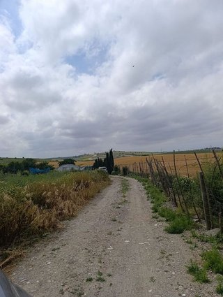 Terreno en venta en Monteolivete-Camino Sevilla en Sanlúcar de Barrameda