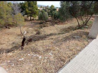 Terreno en venta en Alcover