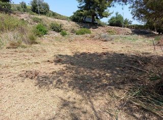 Terreno en venta en Alcover