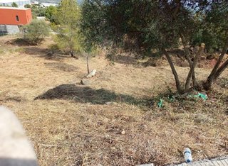 Terreno en venta en Alcover