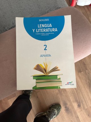 Lengua y literatura, Bachillerato 2