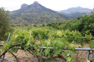 Casa en venta en Gastor (El)