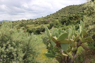 Casa en venta en Gastor (El)