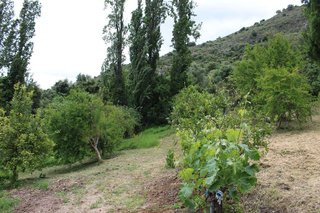 Casa en venta en Gastor (El)