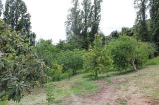 Casa en venta en Gastor (El)