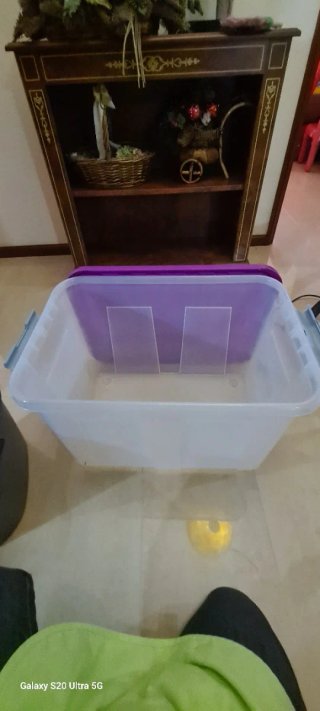Caixa de arrumação HEIDRUN 75L