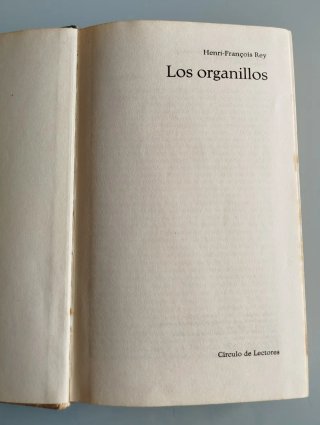 Los Organillos - Henri-François Rey